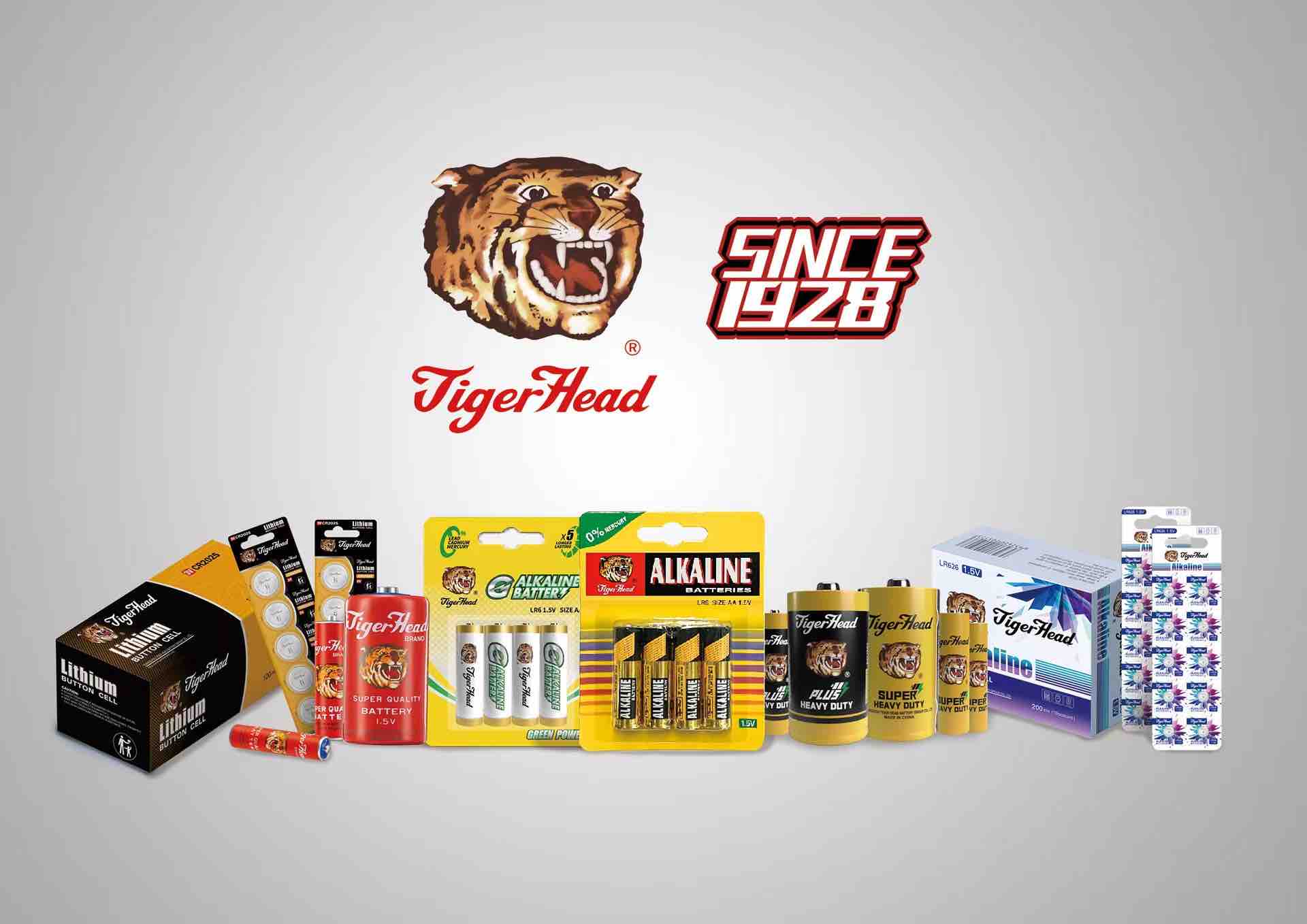 عقدت شركة Tiger Head Battery اجتماعًا خاصًا حول حماية البيئة