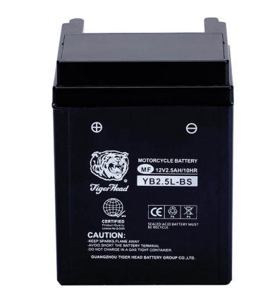 نماذج بي إس